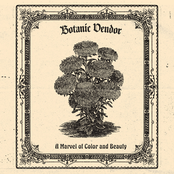 A Marvel Of Color And Beauty