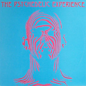 The Psychedelic Experience