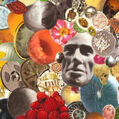 Coyote Image Classic (HIV129)