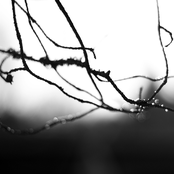 Norepinephrine [2010]