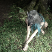 The Wolf Called Desire