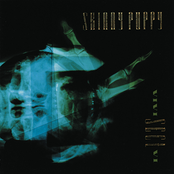 Testure by Skinny Puppy