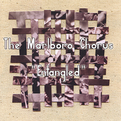 Entangled by The Marlboro Chorus