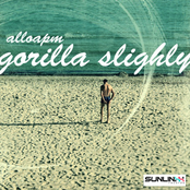 Gorilla Slighly by Alloapm