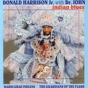 Donald Harrison Jr.: Indian Blues