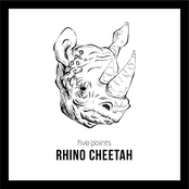 Rhino Cheetah