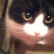 im not like the other girls