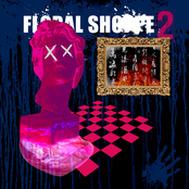 FLORAL SHOPPE 2 Album Picture