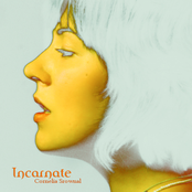 Incarnate