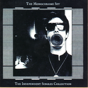 The Monochrome Set: The Independent Singles Collection