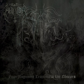 Fons Anguistia Trajectoria Vir Obscura