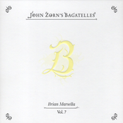 John Zorn's Bagatelles (Vol. 5-8)