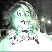 Good Boy
