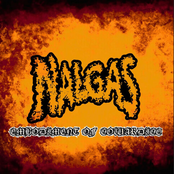 EMBODIMENT OF COWARDICE