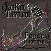 Force of Nature Album Picture