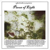 Pieces of Eight