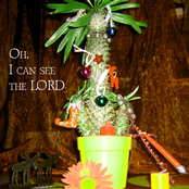 Oh, I can see the LORD!