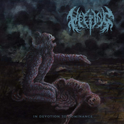 Weeping: In Devotion To Dominance