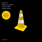 That's Not Happening (Nicole Moudaber Remix)