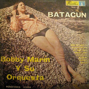 bobby marin