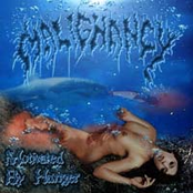 Atmosphere Of Decay by Malignancy