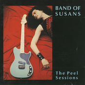 Too Late by Band Of Susans