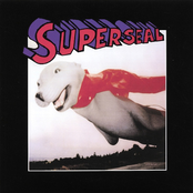 SuperSeal Breaks