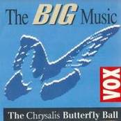The Chrysalis Butterfly Ball