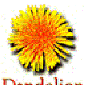 Dandelion Radio Session