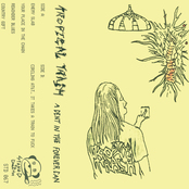 A Dent In The Forever Can