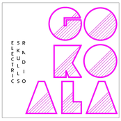 Electric Skulls Radio