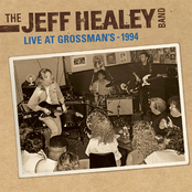 Dust My Broom by The Jeff Healey Band