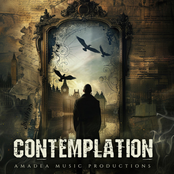 Contemplation