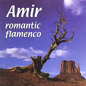 Romantic Flamenco by Amir