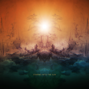 Staring into the Sun