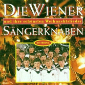 Heiligste Nacht by Wiener Sängerknaben