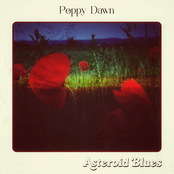 Poppy Dawn