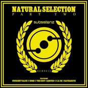 Natural Selection Part 2