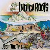 Indica Roots: Just the Tip