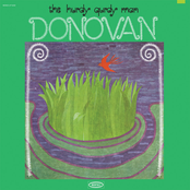 Donovan: The Hurdy Gurdy Man