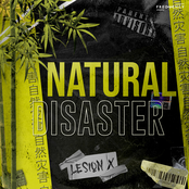 NATURAL DISASTER