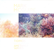 Along The Coral Reef by Mark Mcguire