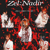 zel：nadir