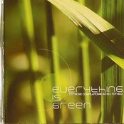 Everything Is Green