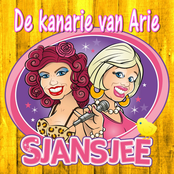 De kanarie van Arie