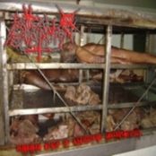 horrorous state of anatomical decomposition