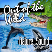 Out of the Wild (Nature Sounds)
