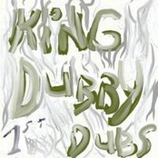 Searching The Dub by King Dubby