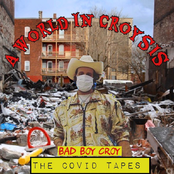 A World in Croysis: The Covid Tapes