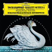 Tchaikovsky: Ballet Suites